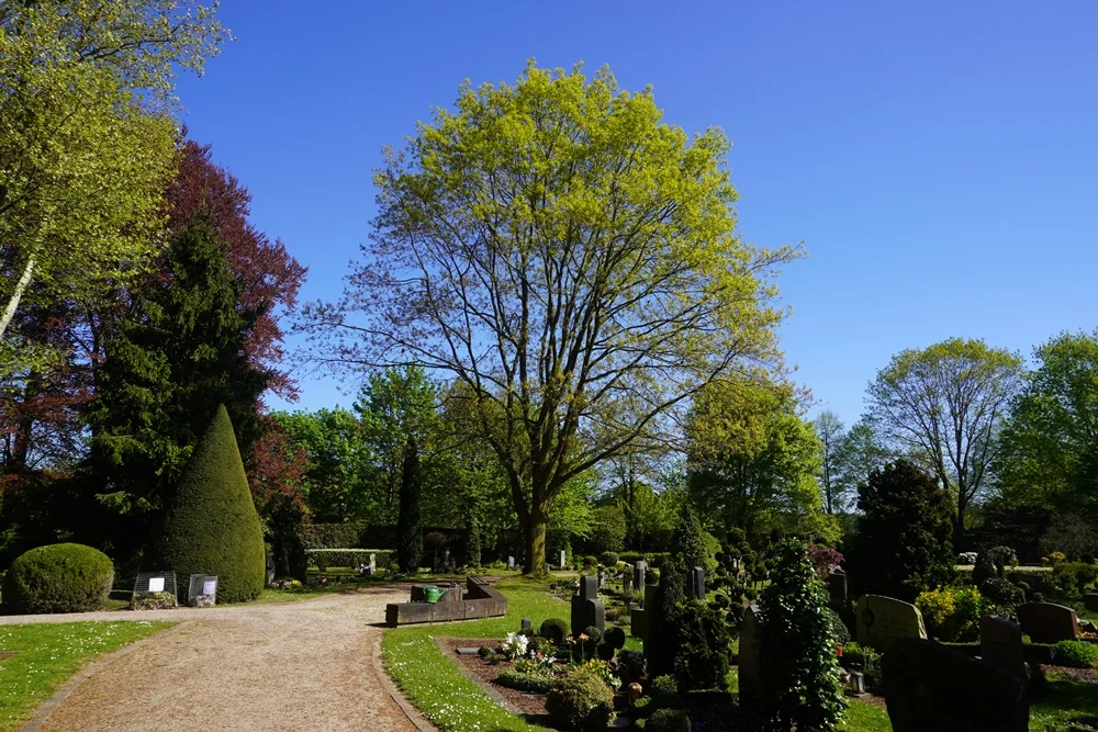 Frühling auf dem katholischen Friedhof in Weeze