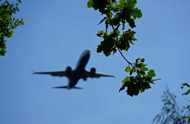 Blick durch die Baumkronen auf ein unscharf vorbeifliegendes Passagierflugzeug im Anflug auf den Flughafen Weeze.