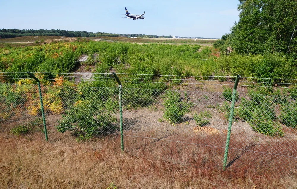 Flugzeug im Landeanflug auf den Airport Weeze über einer begrünten Freifläche hinter einem Maschendrahtzaun bei sommerlichem Wetter.