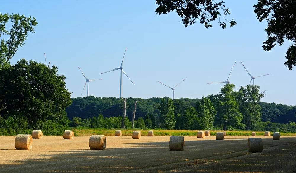 Rundballen auf einem abgeernteten Getreidefeld vor mehreren Windkraftanlagen bei Weeze. 