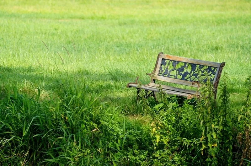 Sitzbank am Nierswanderweg in Weeze zwischen hohem Gras und einer grünen Wiese.