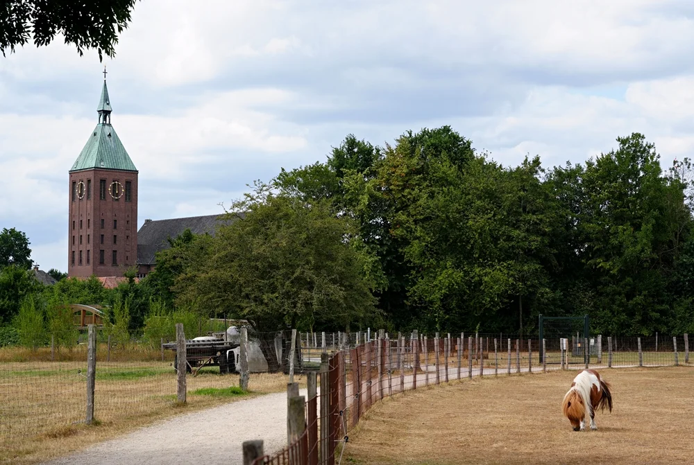 St. Cyriakus in Weeze mit Pferdekoppel im Vordergrund.