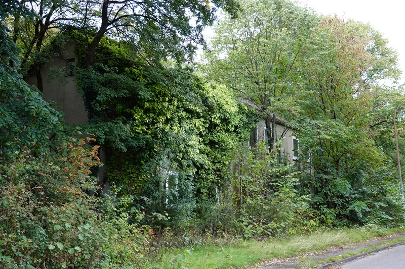Stark zugewachsenes leerstehendes Gebäude auf dem ehemaligen Gelände von RAF Laarbruch