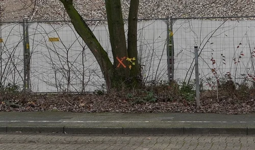 Ein markierter Baum steht vor dem langen Recyclingberg der Abrissbaustelle in Weeze.