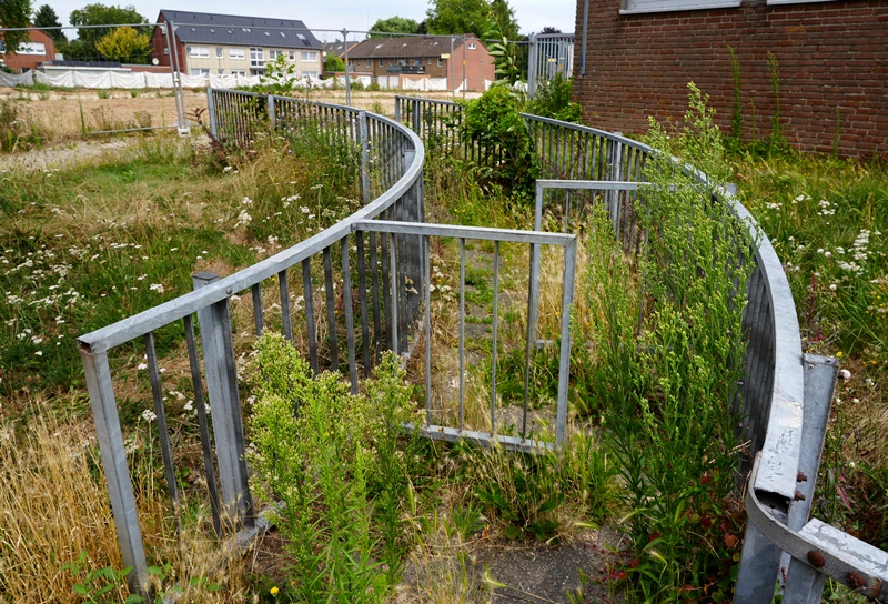 Der ehemalige Zugang zur Hauptschule in Weeze ist inzwischen komplett von Gras und Pflanzen überwuchert.