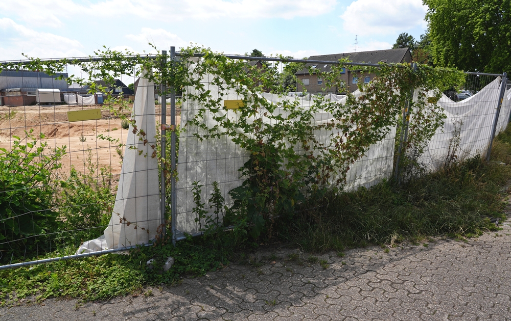 Hauptschule Weeze – Weeze-426a.JPG