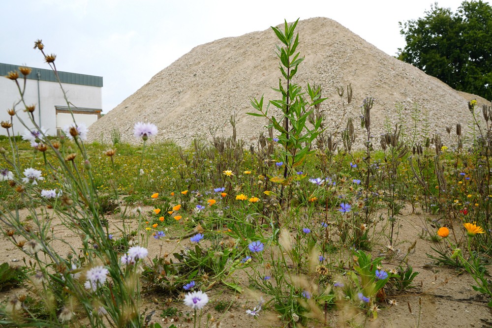 Hauptschule Weeze – Weeze-433.JPG