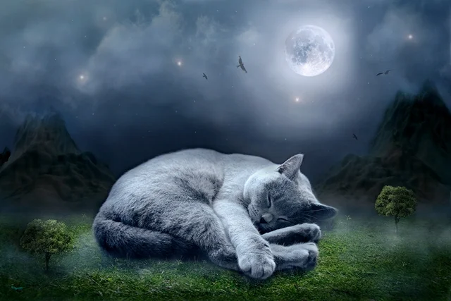 Schlafende Katze liegt unter einem Vollmond in einer nächtlichen Landschaft mit Bergen und Bäumen.