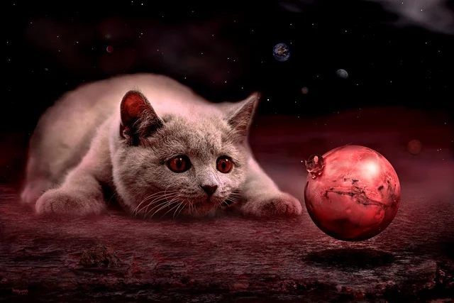 Neugierige Katze betrachtet eine schwebende rote Kugel in einer marsähnlichen Fantasiewelt.