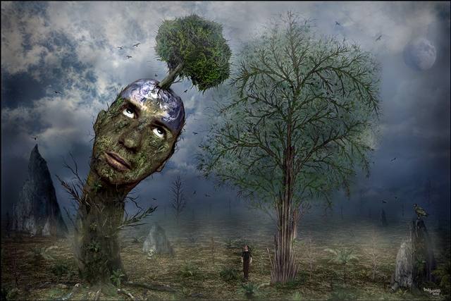 teddynash Artwork